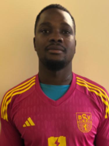Madiou Diallo