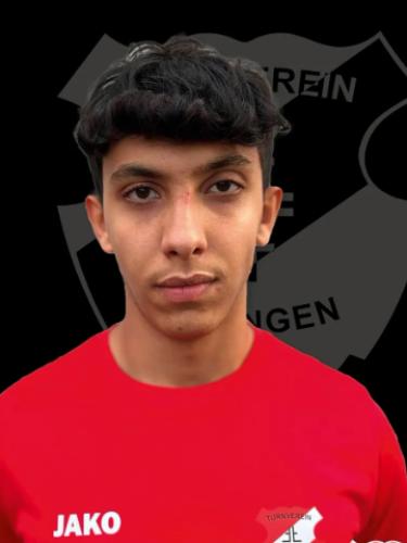 Hasan Louay