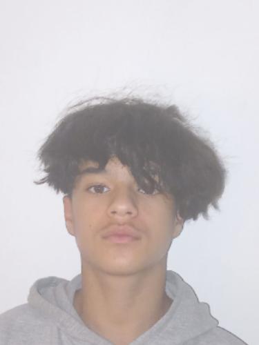 Mohamed Houssam Ayadi