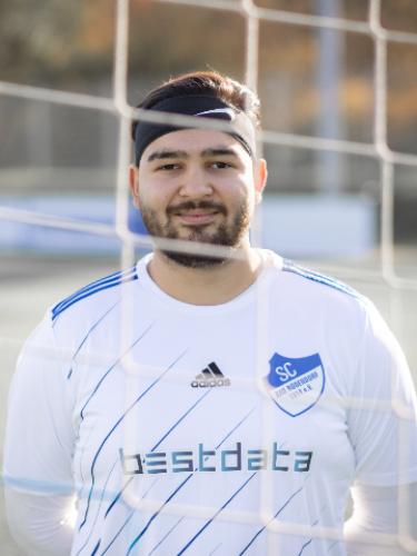 Hamed Maudoodi