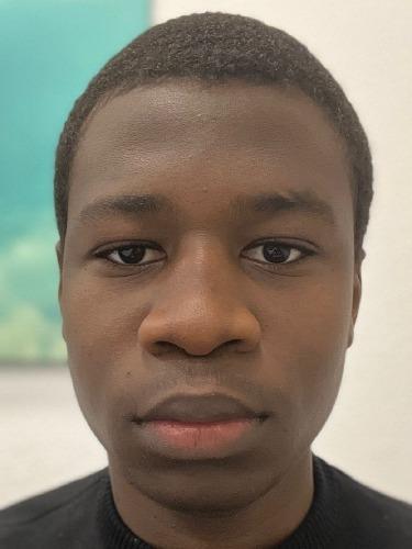 Cheick Ousmane Faye