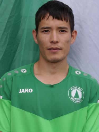 Alireza Ghulami