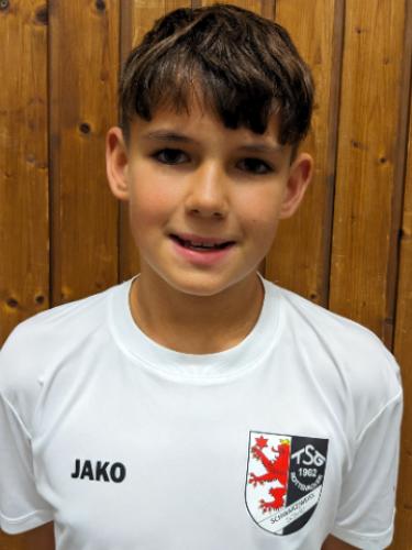 Fabian Schwertle