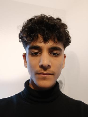 Mostafa Mostafa