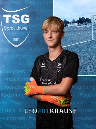 Leonard Emilio Krause