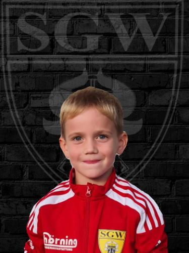 Willi Kemmsies