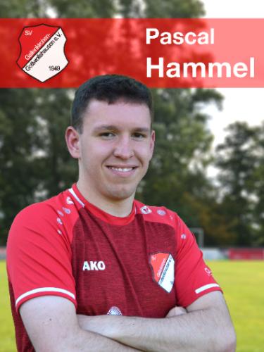 Pascal Hammel