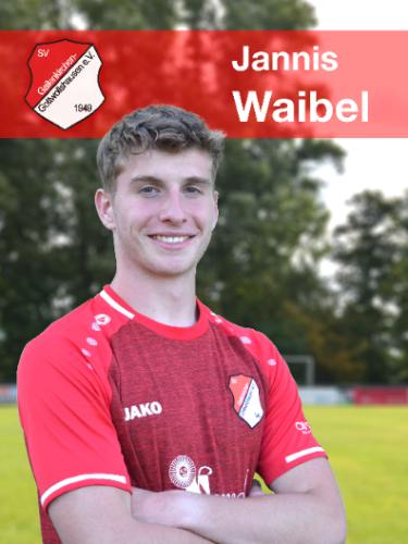 Jannis Waibel