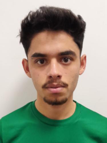Ali Alhanif Almohammad
