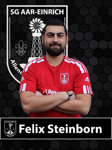 Felix Steinborn