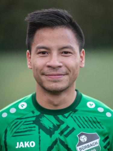 Duc-Anh Nguyen-Le