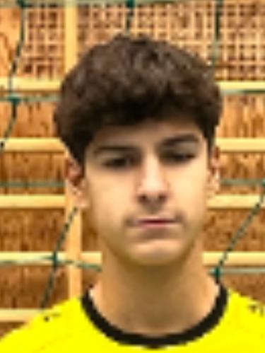 Luis Thoma