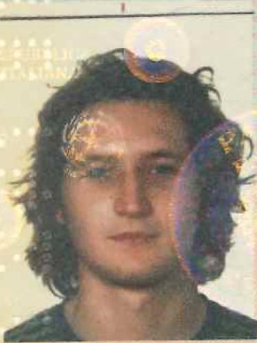 Federico Bontempi