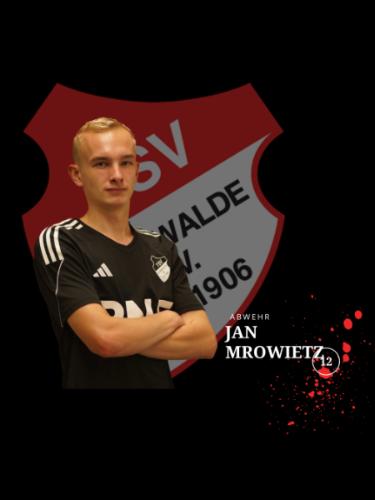 Jan Mrowietz