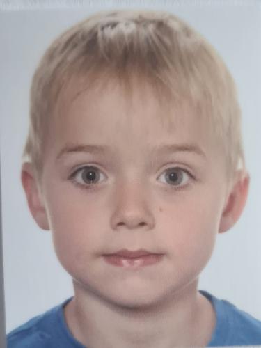 Max Heinkel