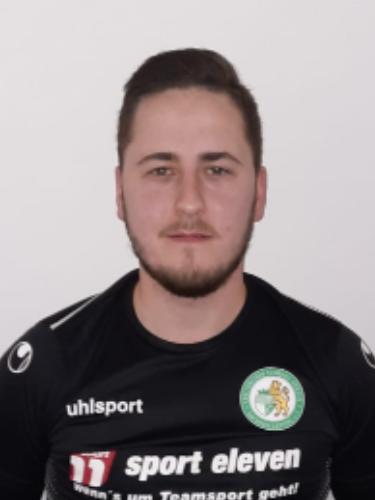 Domenic Schmolcz