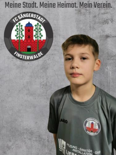 Hans Hermann Friedrich