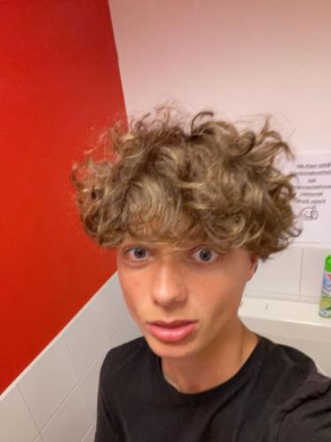 Tom Hergt