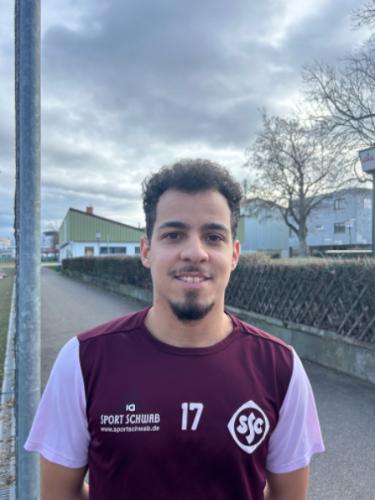 David Miguel Palma Reis