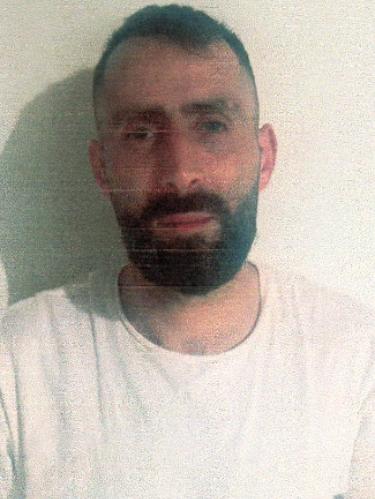 Ion-Catalin Gogonelu