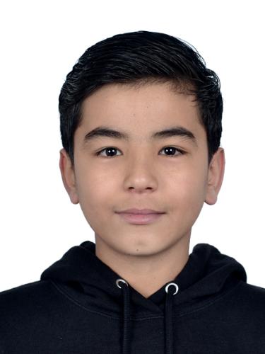 Sayed Amir Mosavi