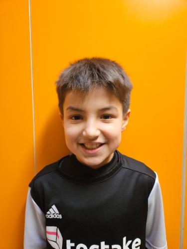 Levin Demaj