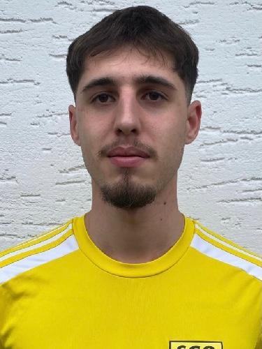 Emilian-Marian Vasiliu