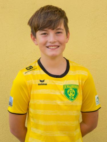 Nils Niedrich