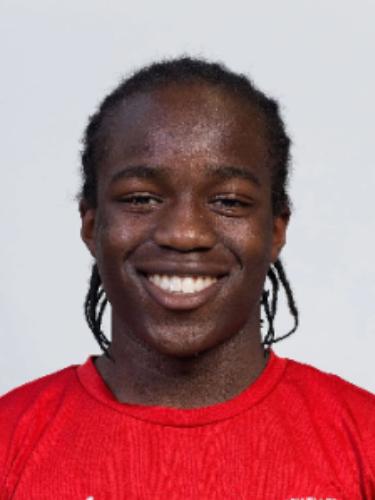 Rodrogue Viho Hounkpati