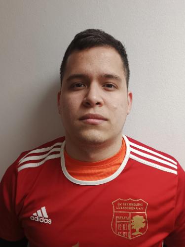 Marcelo Alexander Castillo Ponte