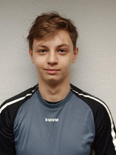 Denis Lucian Vasile Marginianu