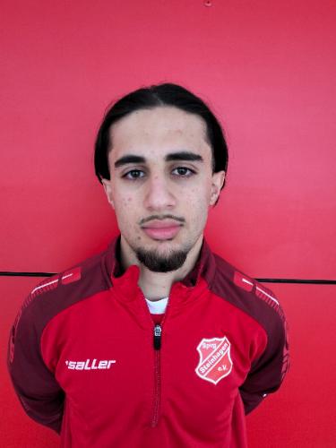 Mahmood Ali Ahmed Zarkani