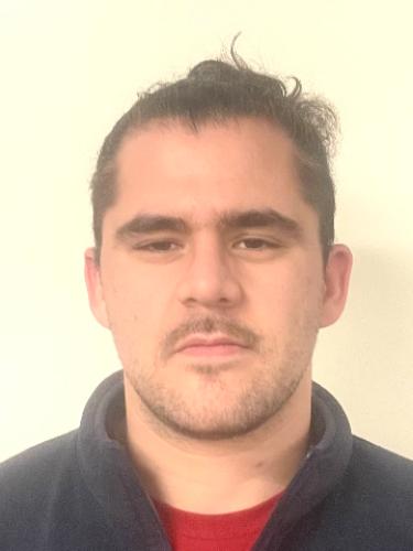 Mario Dragusica