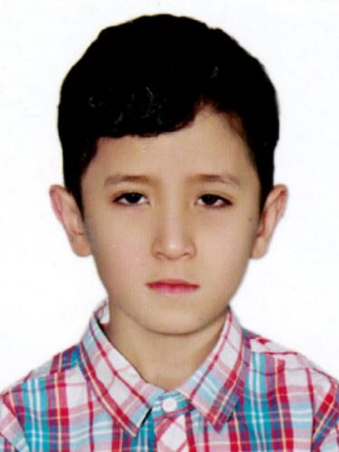 Sayed Rashid Langari