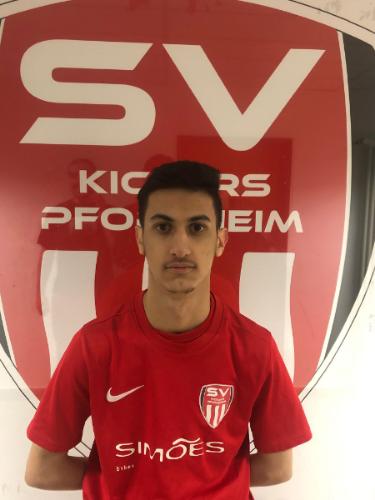 Karam Falah Hasan Al-Hayazei