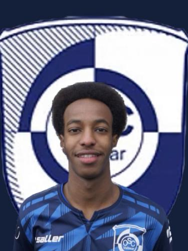 Mohamed Ahmed Mohamed
