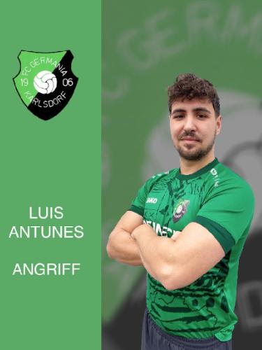 Luis Antunes