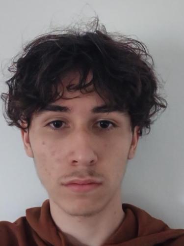 Dzinad Sarim Tucakovic