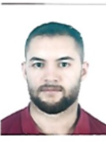 Mehmet Celikay