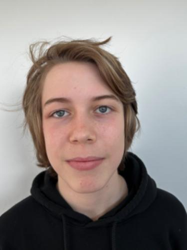 Felix Fridolin Boich