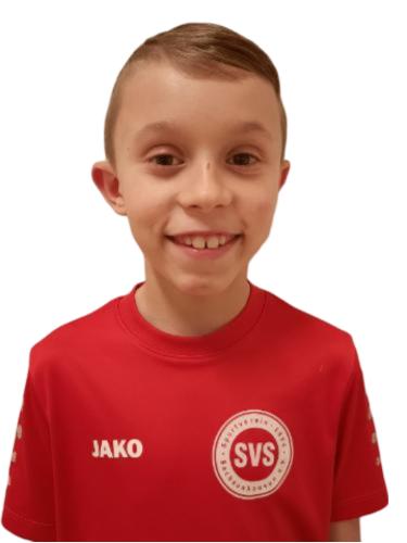 Slaven Majic