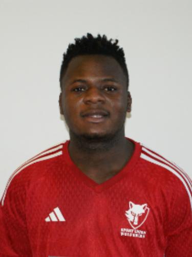 William Nestors Bikanwa