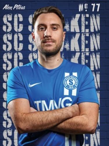 Alen Pitesa