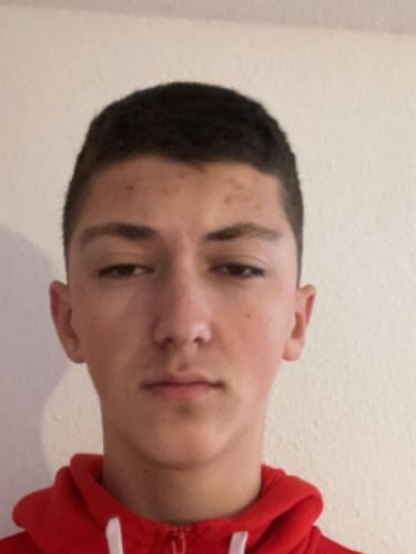 Samid Celebic