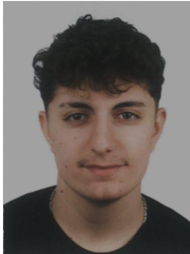 Arda Ütüler