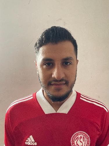 Ali Radwan