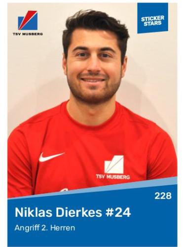 Niklas David Dierkes