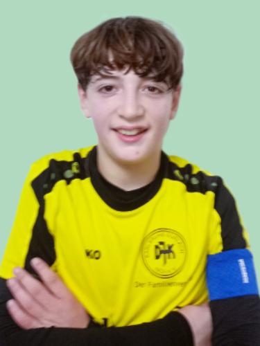 Hannes Lenhard