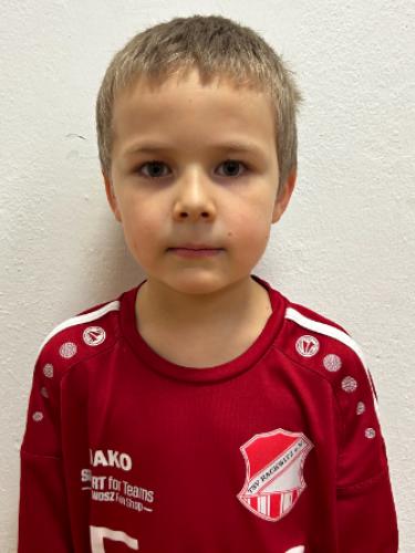Max Mehner