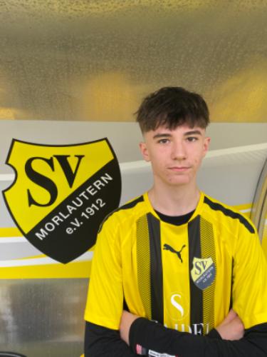 Leonard Alexander Viktor Stein